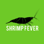 shrimpfever